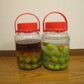 harunono's cooksnap of when they made 自家製梅酒.