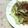 キョク's cooksnap of when they made 中華風？焼きそば.