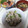 よちりん's cooksnap of when they made 夏の副菜♪豚と胡瓜の酢の物.