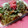 キョク's cooksnap of when they made おいしぃヨ！我が家の焼きそば.