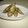ayariko's cooksnap of when they made ごぼうがおいしい！磯じゃこのごぼう揚げ.