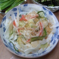 kuishinboF's cooksnap of when they made 大根きゅうりカニカマの和風サラダ.
