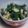 chibico's cooksnap of when they made 空豆のサラダ.