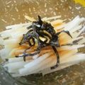 machi★mama's cooksnap of when they made ＊大根サラダ～柚子胡椒風味～＊.