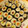 むーじ's cooksnap of when they made 我が家流！田舎風太巻き寿司.