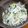 きっかママ's cooksnap of when they made マヨなのにさっぱり！イカサラダ♪.