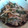 naoume914's cooksnap of when they made きのことニラのさっと煮.