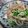 canno's cooksnap of when they made もやしたっぷり♡豚しゃぶサラダ.