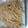 ２４ct's cooksnap of when they made もやしのめんたい炒め.