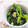 管理栄養士ゆきぼむ's cooksnap of when they made ★ほうれん草の味噌と胡桃和え★.