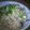 沖田晴喜's cooksnap of when they made 絶品♪簡単炊き込みご飯☆.