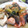 ちんぐりあん's cooksnap of when they made 簡単っす！鮭ときのこのバターじょうゆ炒め.