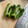 QPはにー's cooksnap of when they made エコなピーマンの切り方.