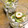 kichicoron's cooksnap of when they made キュウリとちくわの和風マヨネーズあえ.