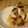 けいたんですよ's cooksnap of when they made 『✾色々きのこの当座煮✾』.