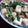 羽尼うに's cooksnap of when they made お豆腐とニラの中華風炒め♪.