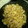 さぁ★たぁ★'s cooksnap of when they made きゃべつと桜エビの炒飯.