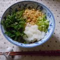 kemeta's cooksnap of when they made ぶっかけおろしうどん.