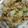SILK0205's cooksnap of when they made ﾌﾟﾘﾌﾟﾘ鶏皮de■コラーゲン炒飯■.