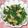 サボ・ミーママ's cooksnap of when they made かぶの葉（小松菜）の煮びたし.