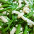 熊人すみこ's cooksnap of when they made 春の香り✿簡単！せり＆エノキの胡麻あえ✿.