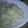 沖田晴喜's cooksnap of when they made オイルサーディン＊春きゃべつのパスタ.