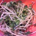 プンプン庵's cooksnap of when they made かいわれちくわの梅マヨサラダ.