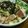 1nokura's cooksnap of when they made まぐろとアボガドの梅あえサラダ.
