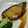 ピンクのたまご's cooksnap of when they made ぶりのあっさり生姜がけ.