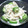 鈴ピヨ's cooksnap of when they made オクラとえのきの胡麻和え　すだち風味.
