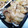 しゅんぺいのママ's cooksnap of when they made 豚のしょうが焼き.