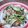 poilane's cooksnap of when they made ＊かにかまのごまサラダ＊.