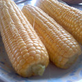 ぽんぽん堂's cooksnap of when they made とうもろこしいち早く食べるには☆.