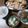 よちりん's cooksnap of when they made 味噌汁　豆腐と三つ葉.