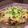 うめっこみなたろぅ's cooksnap of when they made 準備は5分!?キノコたっぷり鮭のマヨオーブン焼き.