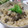 ぽれっ子's cooksnap of when they made 牛とゴボウの炊き込みごはん.