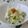 さとみわ's cooksnap of when they made ＊春キャベツのカレーヨーグルトサラダ＊.