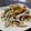 スイートゆう's cooksnap of when they made 新ごぼうとゆで豚の香味和え.