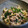 shibainu1's cooksnap of when they made 柔らか豚のシメジ韮炒め.