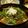 オマールえび子's cooksnap of when they made パパッと漬けマグロのてこね寿司.