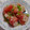 せつみか's cooksnap of when they made トマトのおろし甘酢和え.