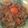 ＭｉｙａＣｏ's cooksnap of when they made 自由軒風！？カレー.