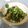 さとよこ's cooksnap of when they made ご飯に合う！じゃこ大根葉.