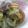 sweetmacaron's cooksnap of when they made 何度でもおかわりぃ！白菜のくたくた煮.