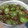 ぽんぽん堂's cooksnap of when they made 絶品☆梅の砂糖漬け☆（全行程写真付き）.