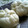 ぴよぴよおきよ's cooksnap of when they made 皮も旨い肉まん.