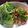 dreamy-kitten's cooksnap of when they made 本格ラープガイ☆タイ東北風激辛ひき肉炒め.