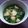 ほなみつ's cooksnap of when they made あっさりぽかぽか蕪のトロ煮.