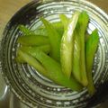まみんちよ's cooksnap of when they made ***セロリ★ワサビ醤油漬け***.