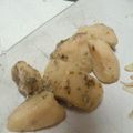 えこぶぅ's cooksnap of when they made ☆ほっくり♪じゃが芋の塩昆布炒め煮☆.